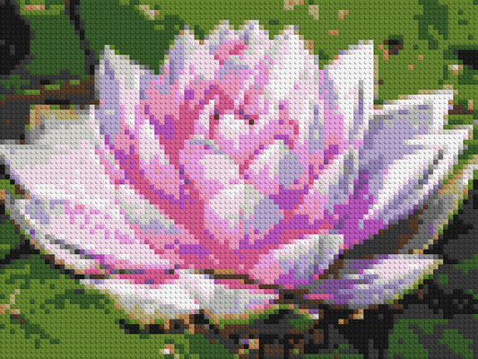 Water Lily - Brick Art Mosaic Kit 4x3 large