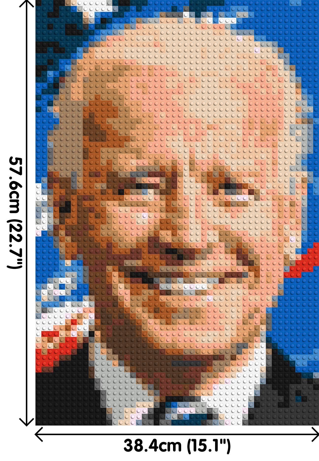 Joe Biden - Brick Art Mosaic Kit 2x3 dimensions