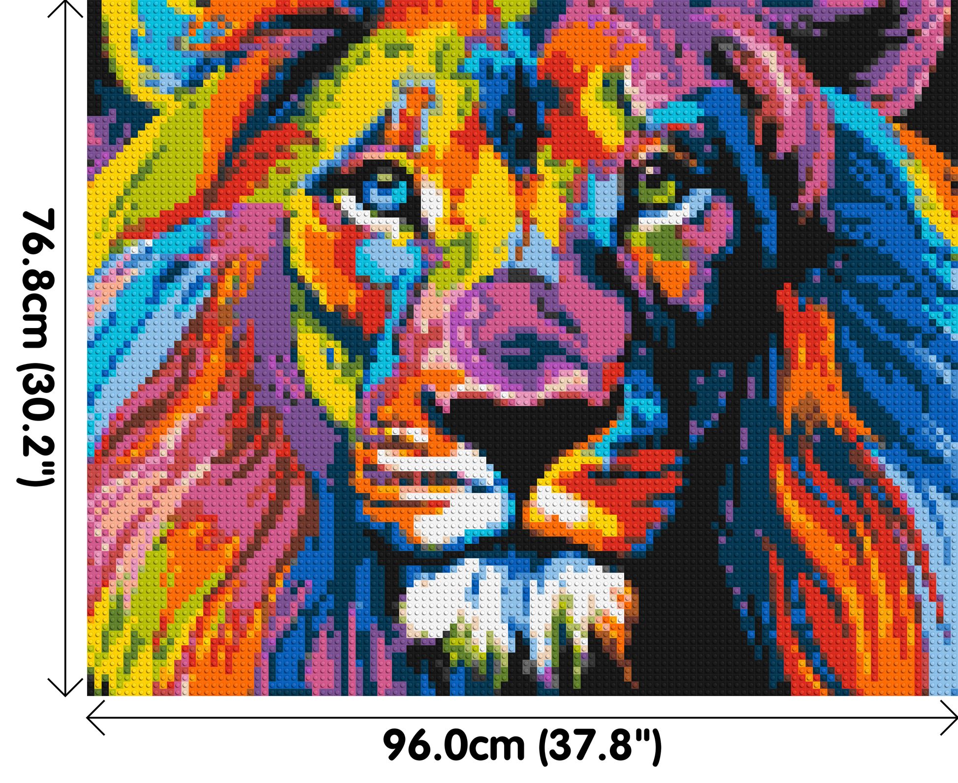 Lion Colourful Pop Art - Brick Art Mosaic Kit 5x4 dimensions