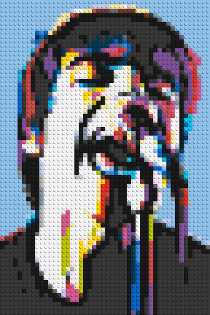 Liam Gallagher (Oasis) - Brick Art Mosaic Kit 2x3 large