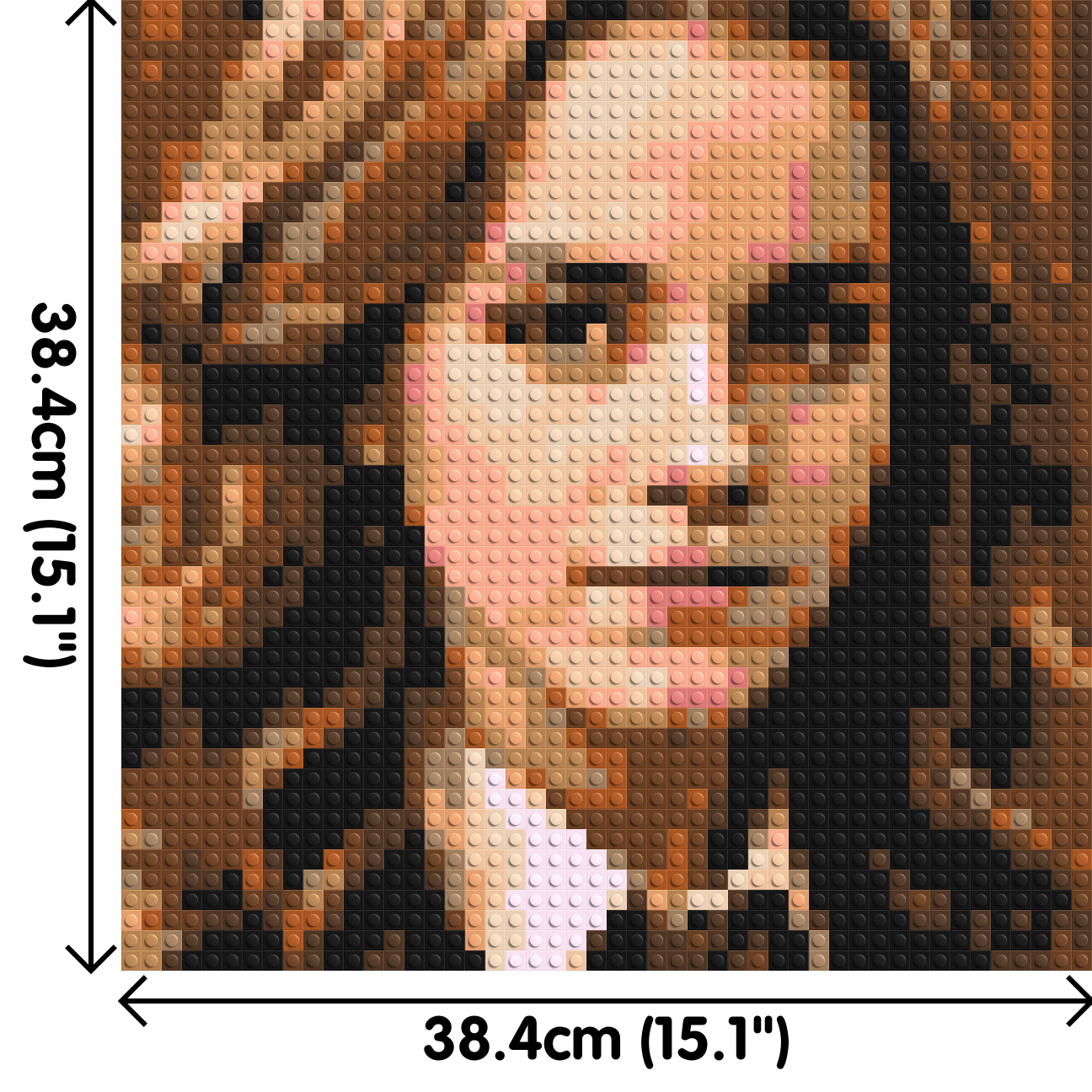 Hermione Granger - Harry Potter - Brick Art Mosaic Kit 2x2 dimensions