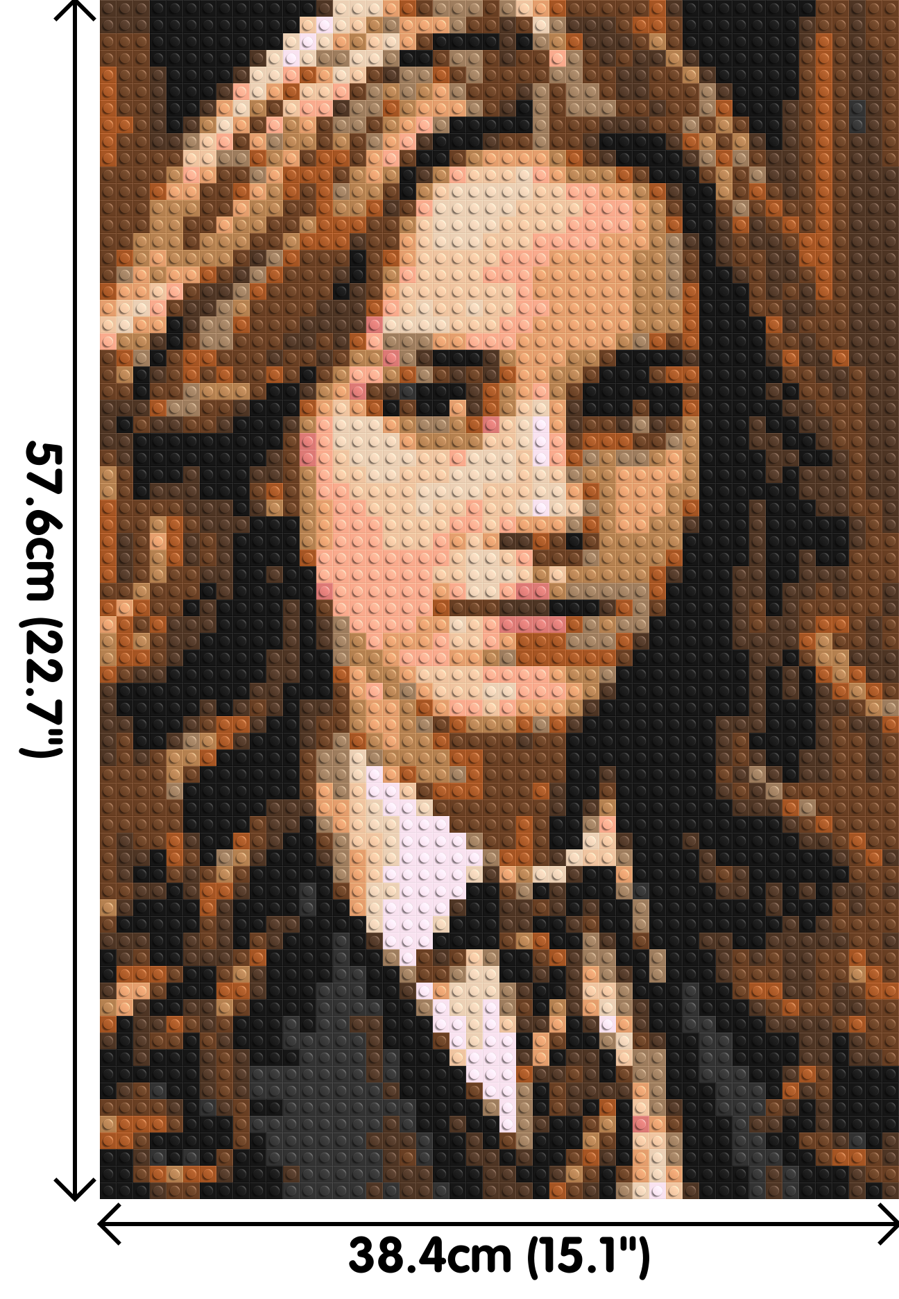 Hermione Granger - Harry Potter - Brick Art Mosaic Kit 2x3 dimensions