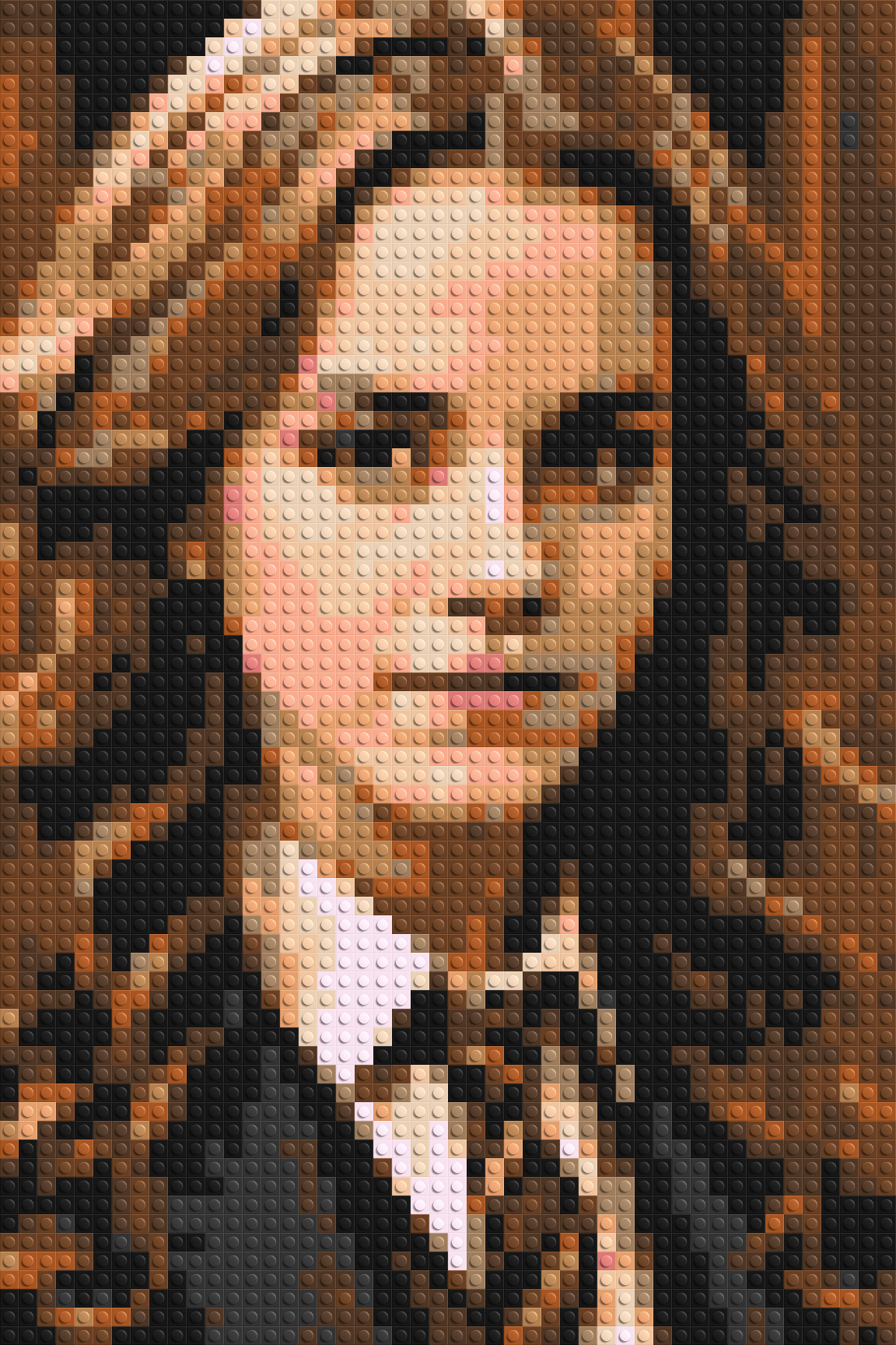 Hermione Granger - Harry Potter - Brick Art Mosaic Kit 2x3 large