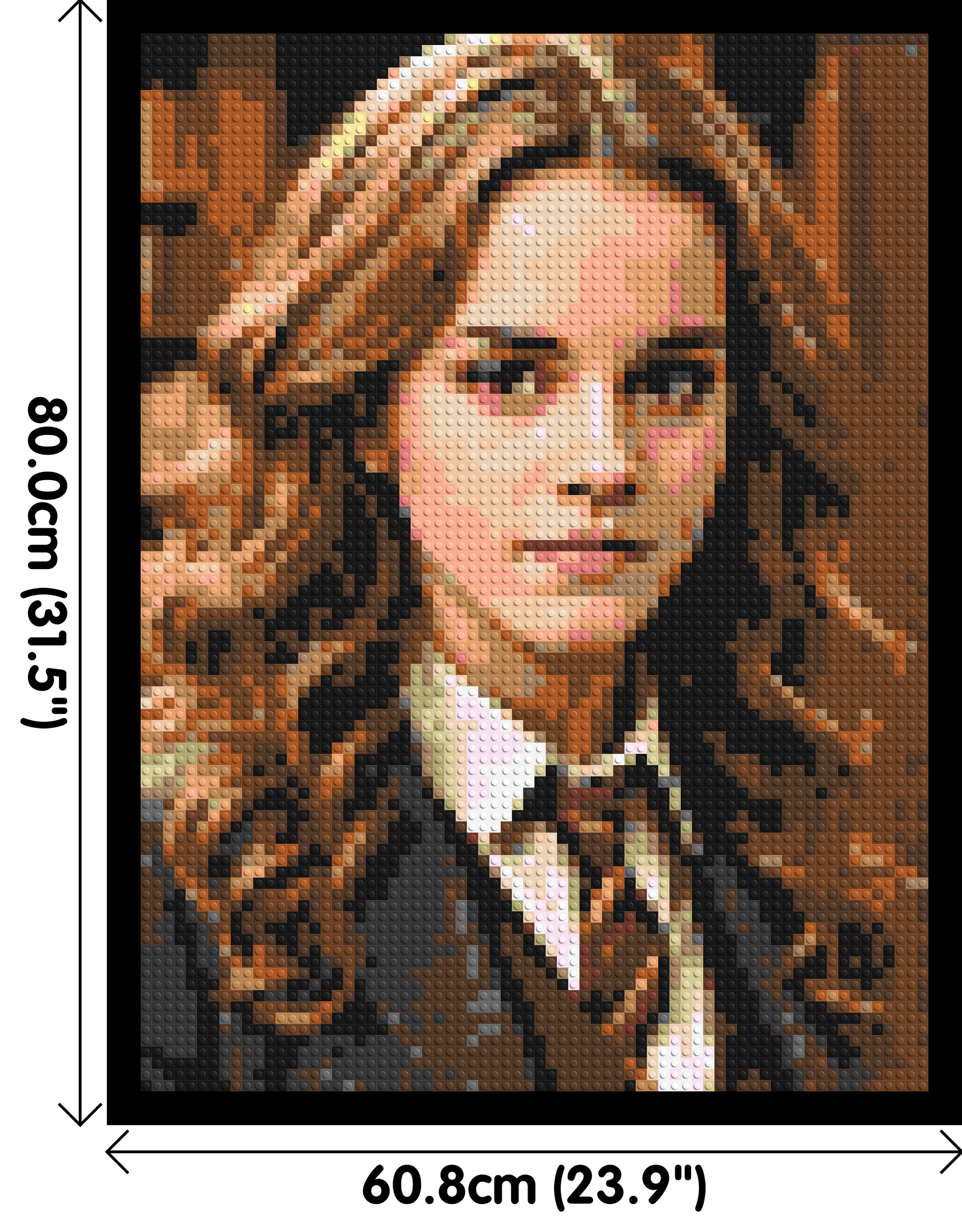 Hermione Granger - Harry Potter - Brick Art Mosaic Kit 3x4 dimensions with frame