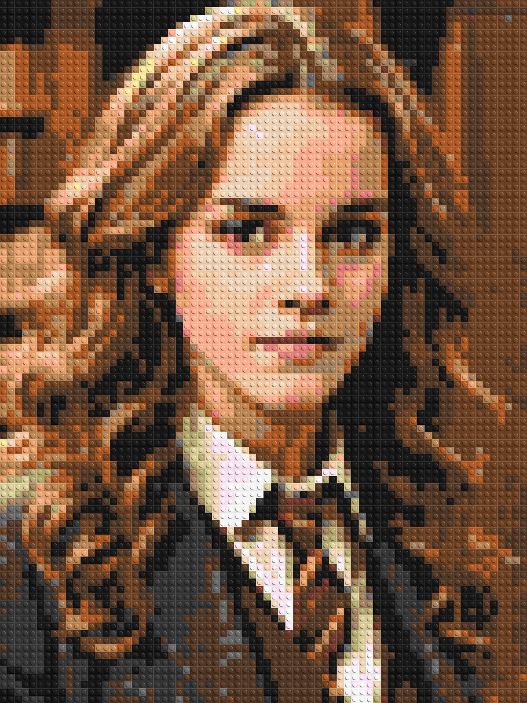 Hermione Granger - Harry Potter - Brick Art Mosaic Kit 3x4 large